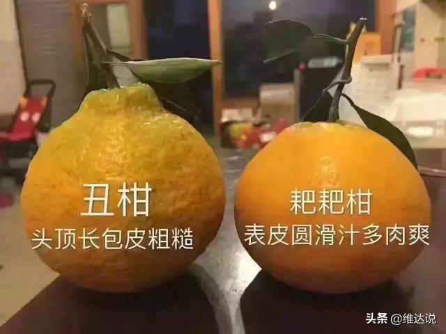 粑粑柑上火吗_粑粑柑的功效与作用