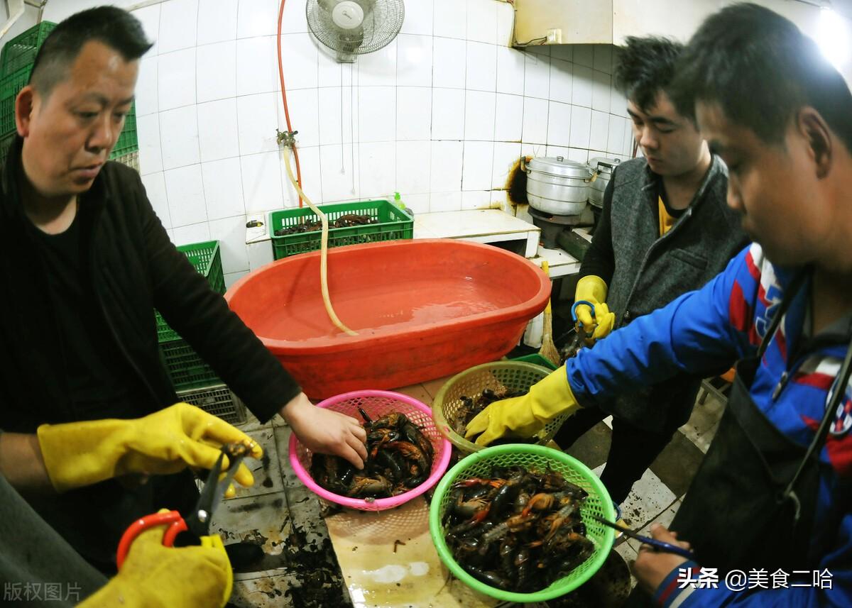 龙虾怎么清洗_龙虾清洗方法