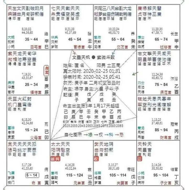 什么是紫微斗数_紫微斗数的详细解答