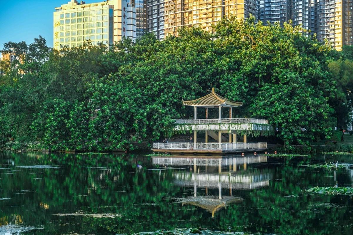荔枝公园在哪里_荔枝公园的概况