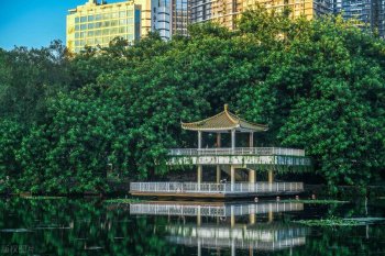 荔枝公园在哪里_荔枝公园的概况