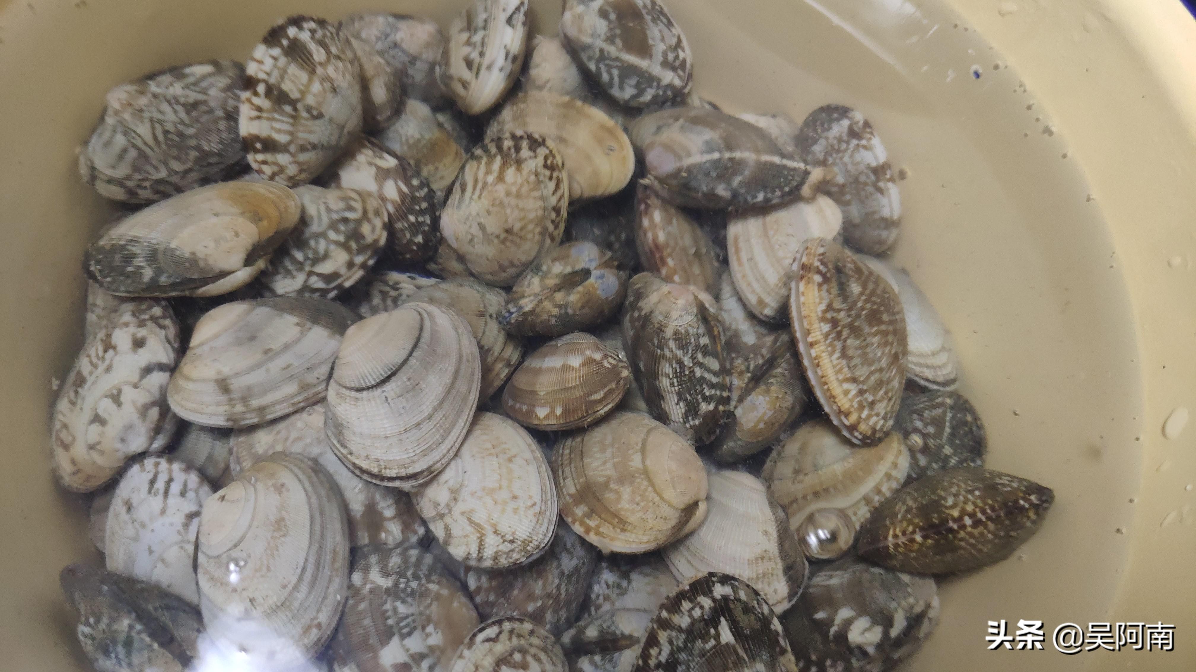 花甲粉怎么做_花甲粉的正宗做法