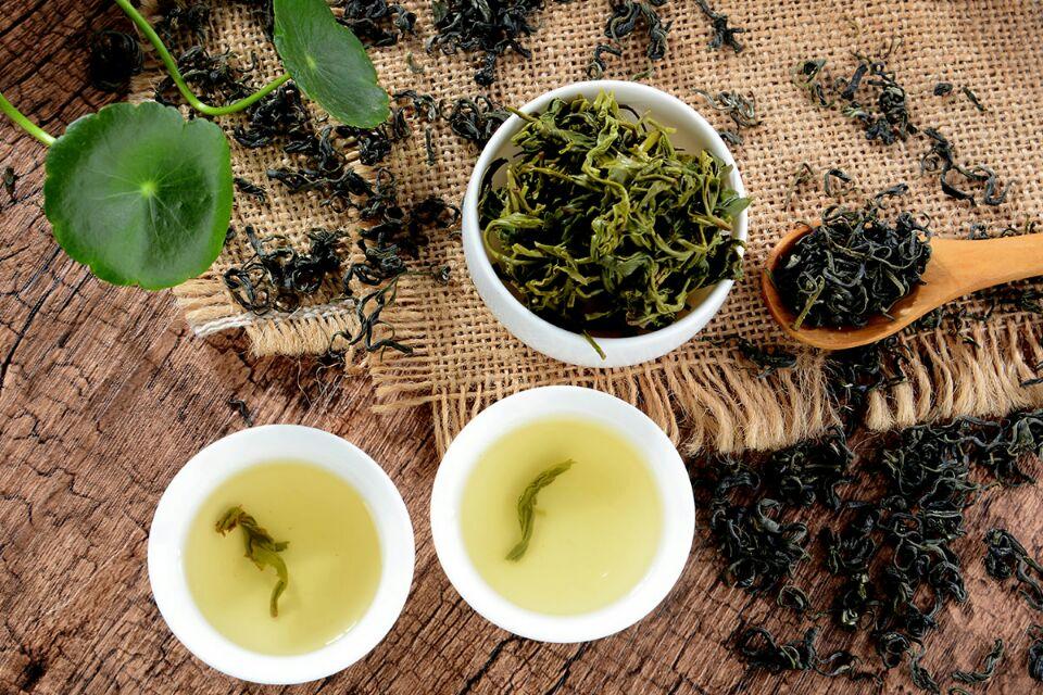 什么是茶_什么是茗