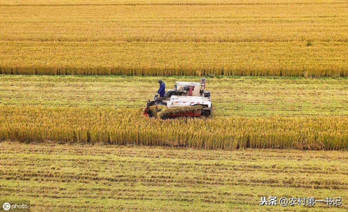 农村土地承包转让合同模板_农村土地承包转让合同范文