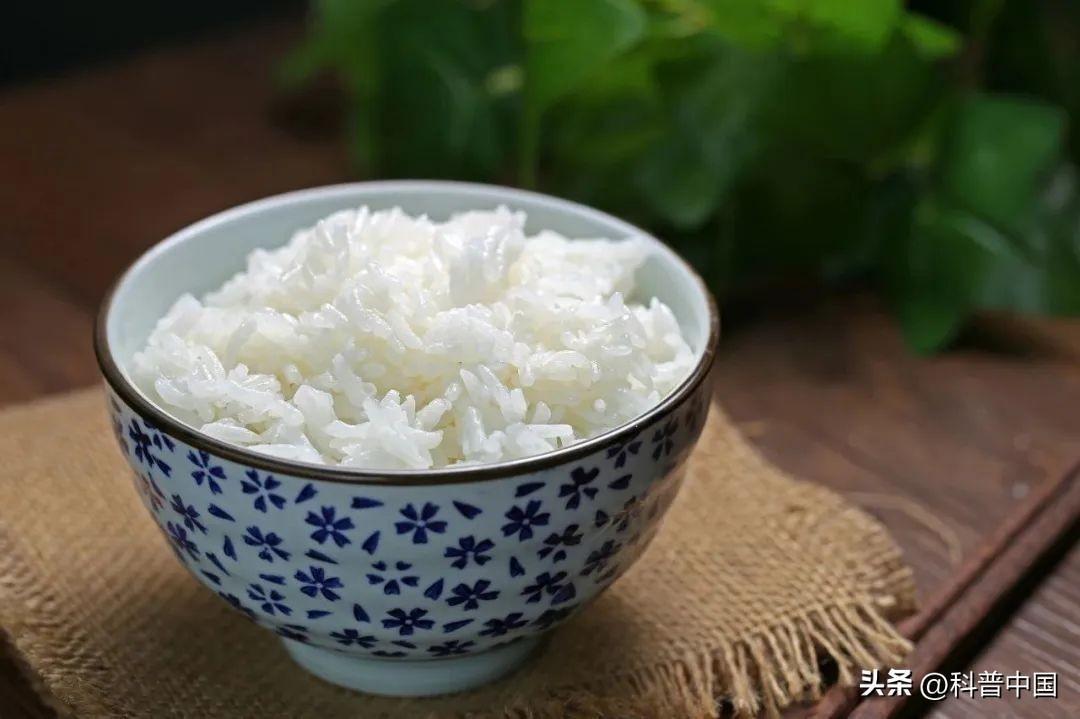 米和面哪个更胖人_米和面的分析