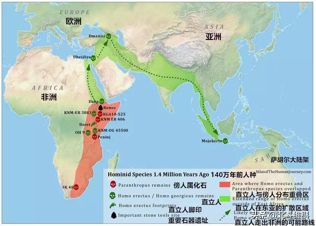 中国古人类考古是什么人物_中国古人类考古研究发展历程