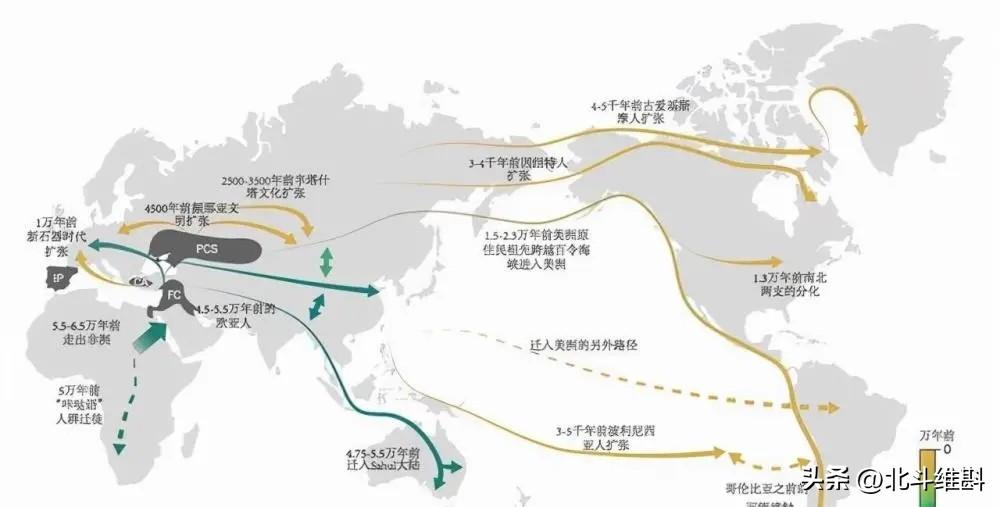 中国古人类考古是什么人物_中国古人类考古研究发展历程