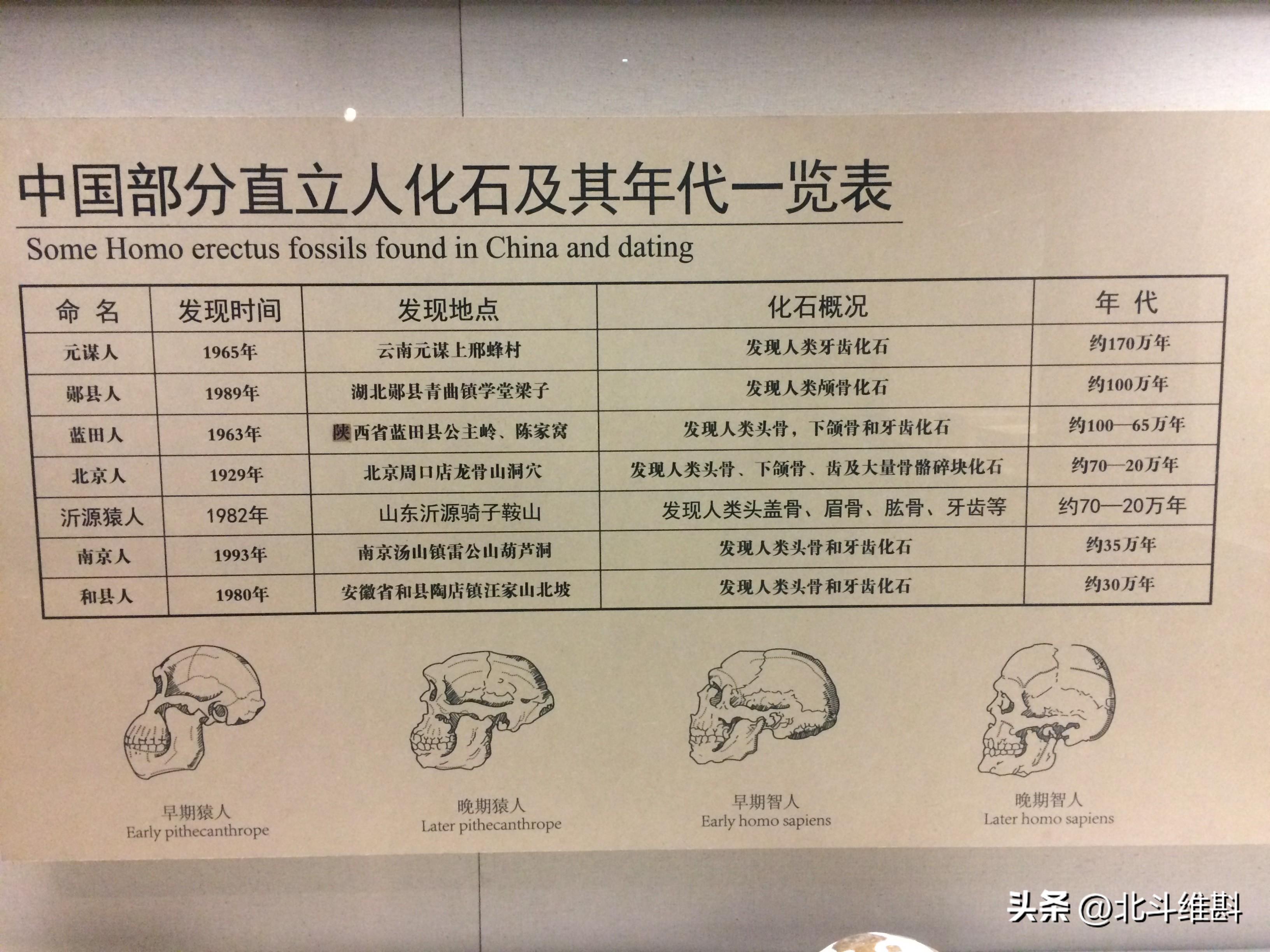 中国古人类考古是什么人物_中国古人类考古研究发展历程
