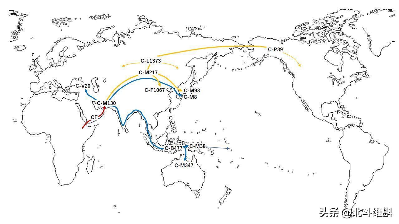 中国古人类考古是什么人物_中国古人类考古研究发展历程