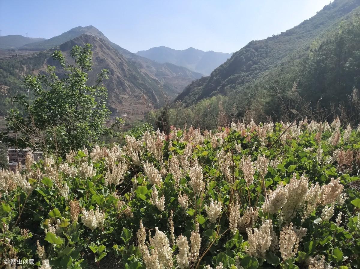 怎样欣赏诗词_欣赏诗歌的技巧