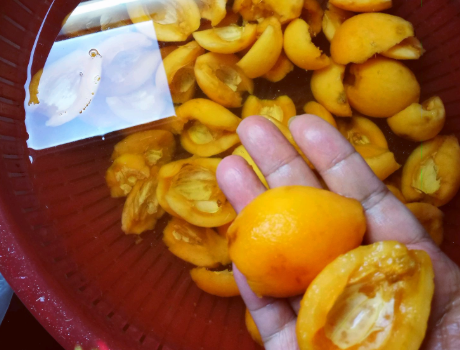 枇杷膏怎么做成的?_枇杷膏的制作流程