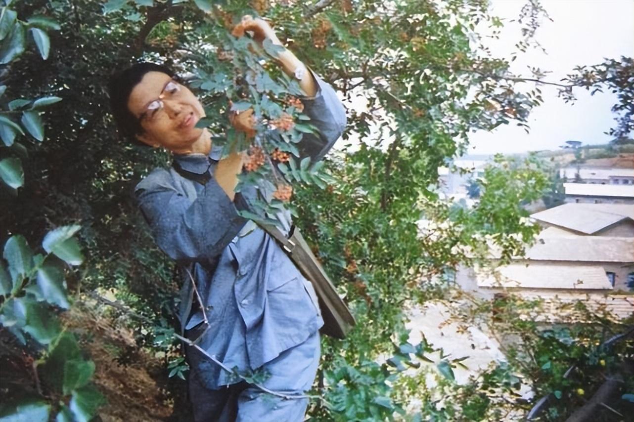 江青怎么死的_揭秘江青的真实死因