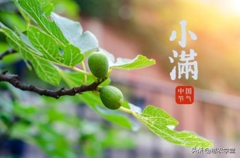 小满是哪一天_小满是几月几号