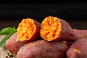 红薯怎么种高产_红薯的种植技巧和方法