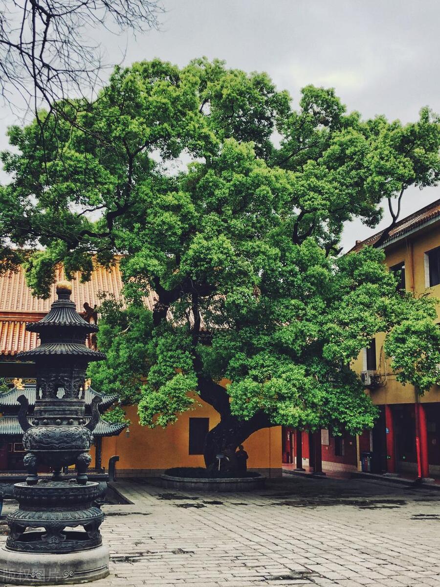 南昌旅游景点有哪些_南昌旅游必去十大景点