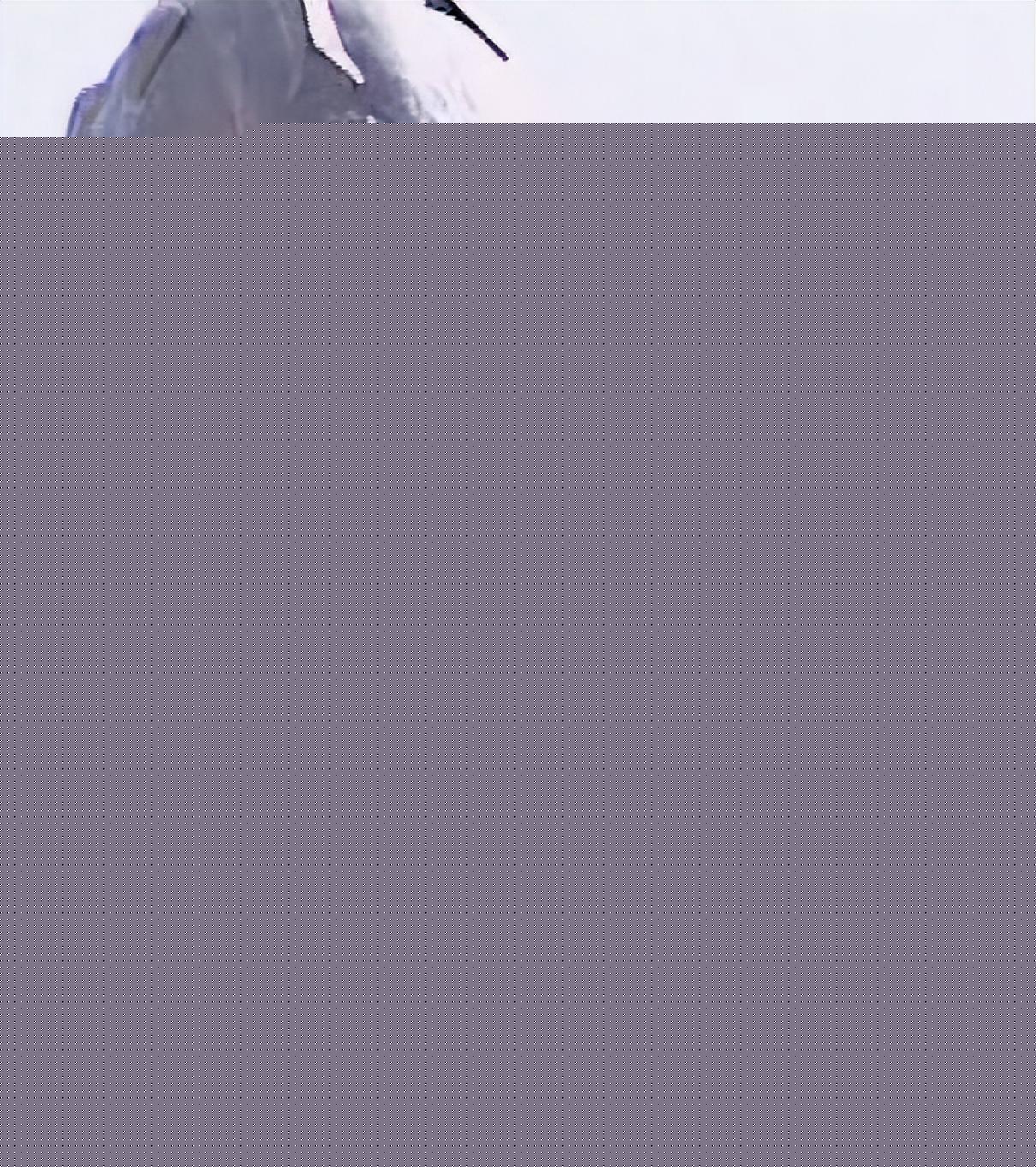 马岱为何突然消失了_马岱最后去哪了