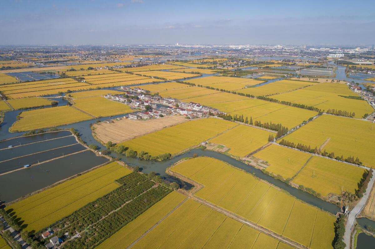 中国岛屿最多的是哪个省_中国岛屿最多的省份排名