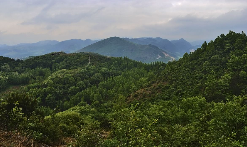 诸葛亮的墓地在哪里_诸葛亮是因为什么而死的