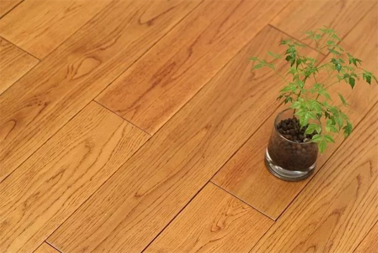 栎木和橡木有什么区别_怎么区分
