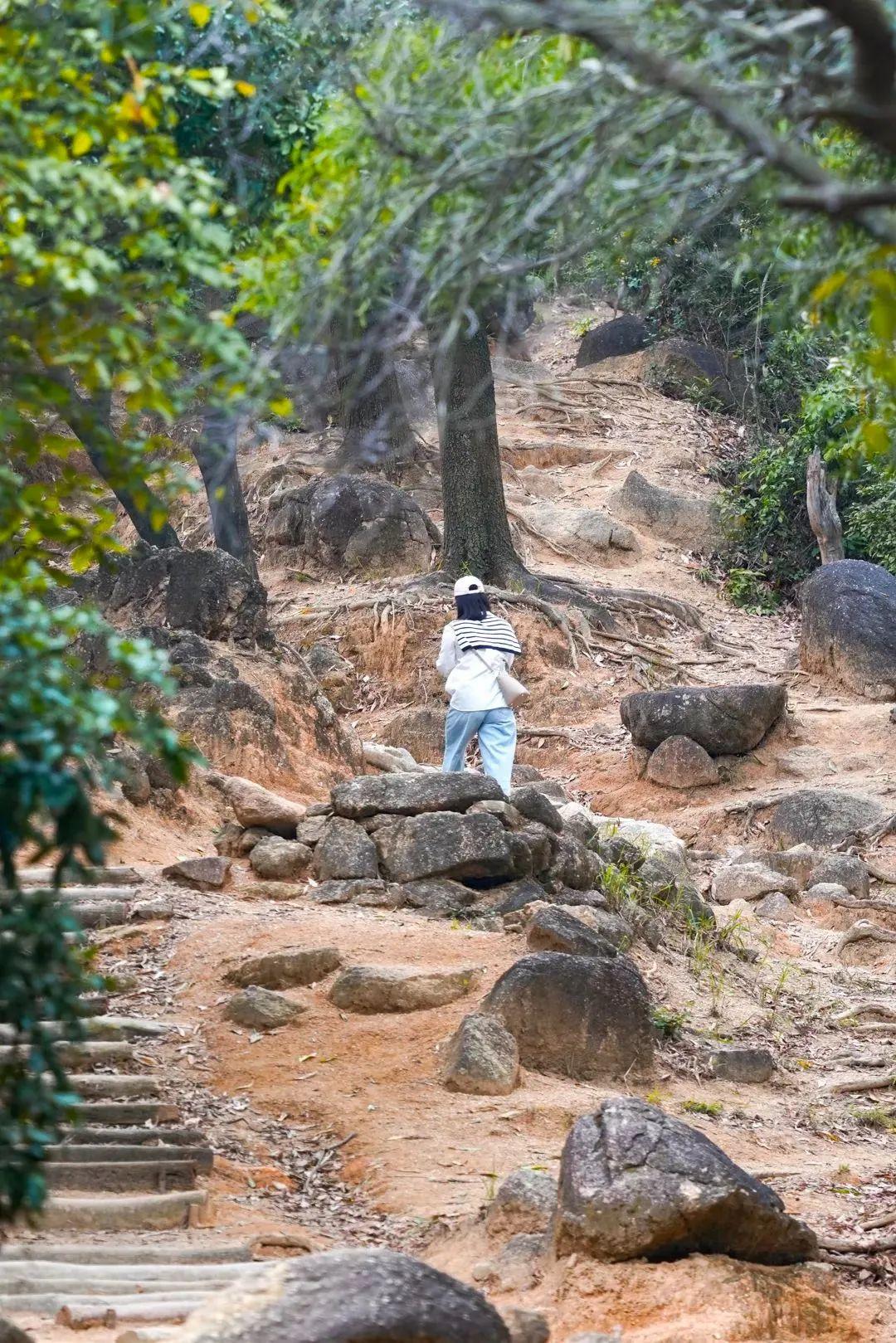 深圳福田区有哪些旅游景点_深圳福田区旅游攻略