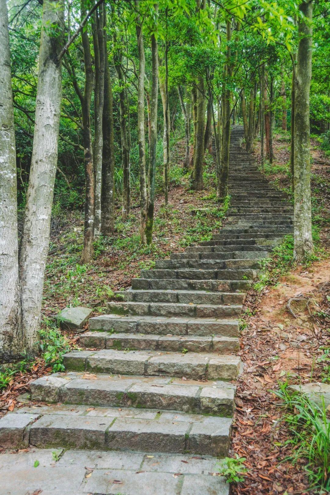 深圳福田区有哪些旅游景点_深圳福田区旅游攻略
