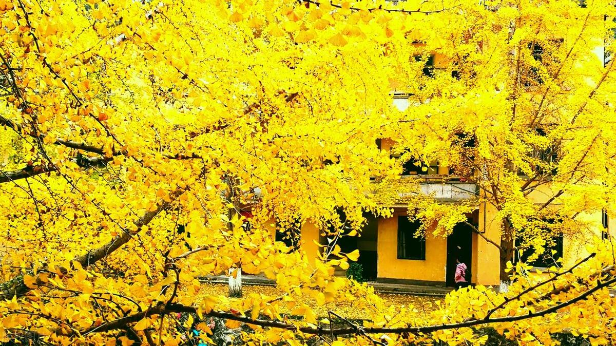 韶关的旅游景点有哪些_韶关旅游十大景点