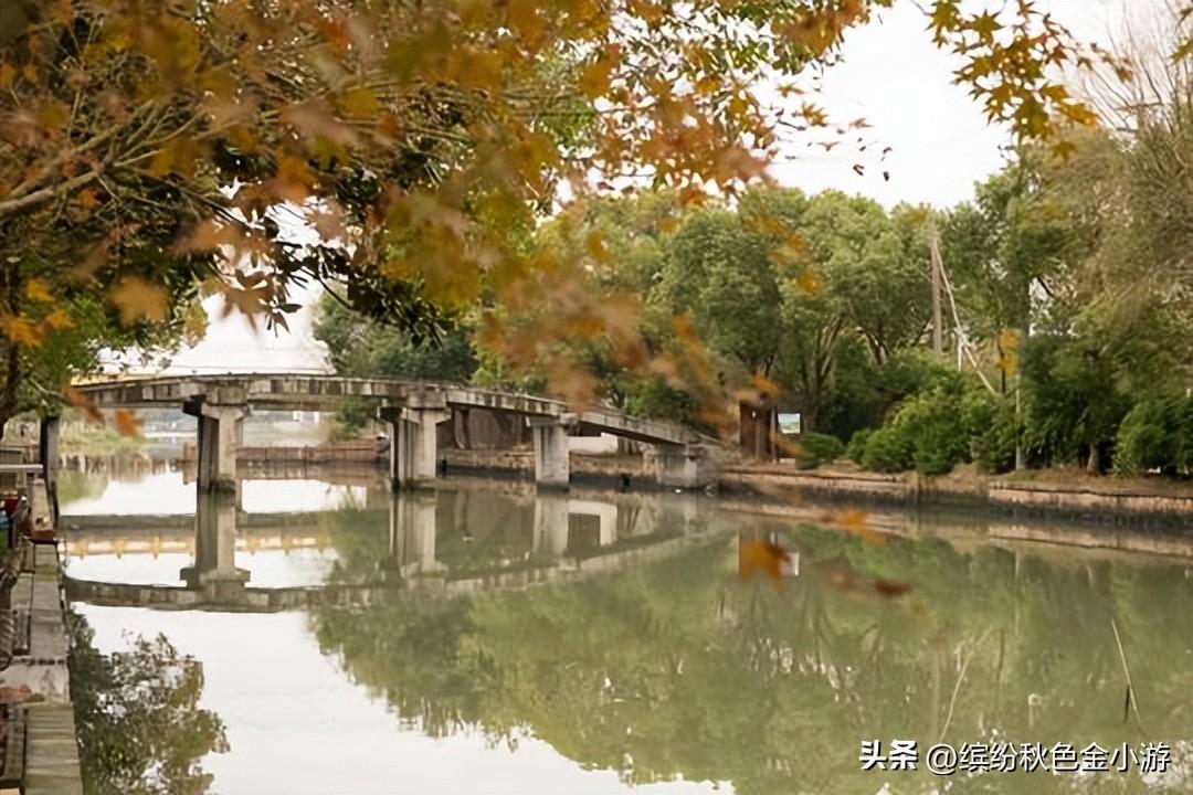 上海金泽古镇景点有哪些_上海金泽古镇游玩攻略