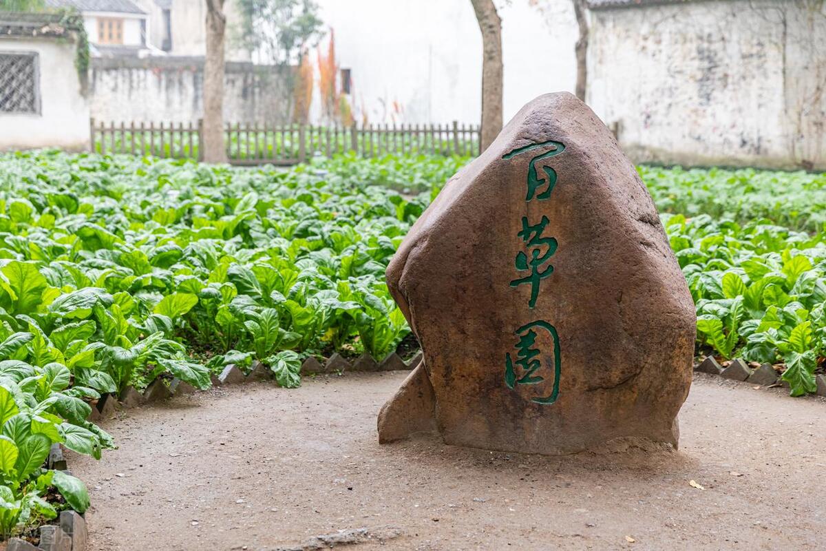 浙江旅游景点有哪些_浙江旅游必去十大景点