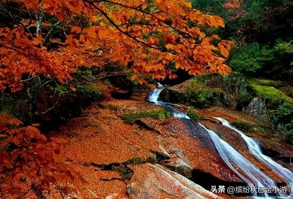 四川最美丽的景点_四川最美丽二十个景区