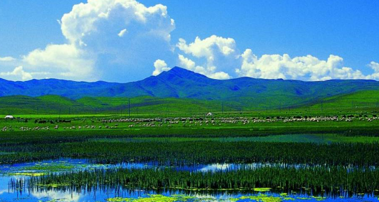 甘肃景点有哪些地方_甘肃景点大全介绍