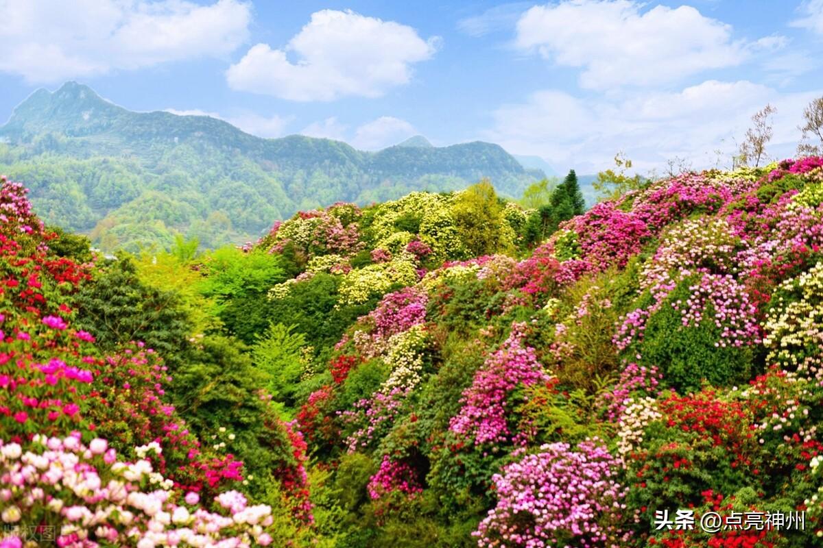 贵州有哪些旅游景点_贵州旅游景点推荐