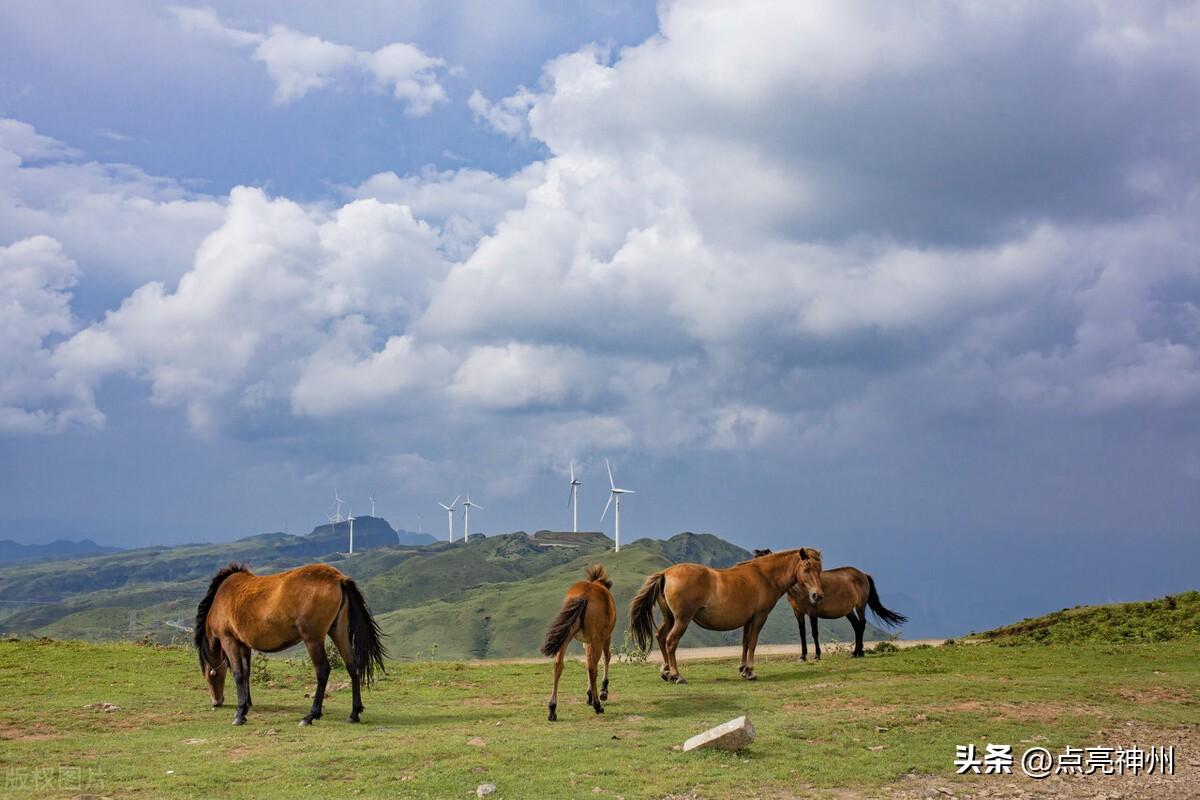 贵州有哪些旅游景点_贵州旅游景点推荐