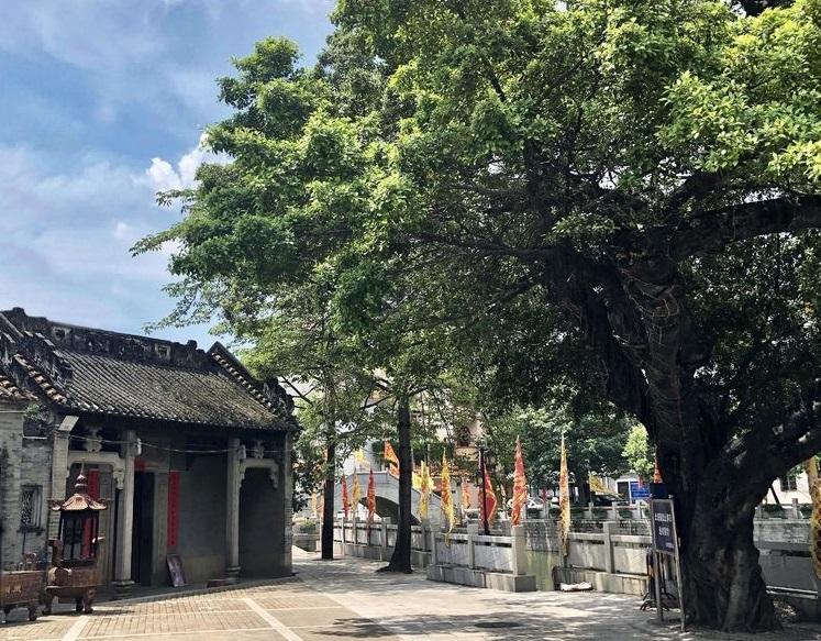 广州有哪些景点_广州十大冷门景点