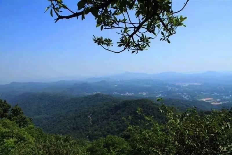 广州有哪些景点_广州十大冷门景点