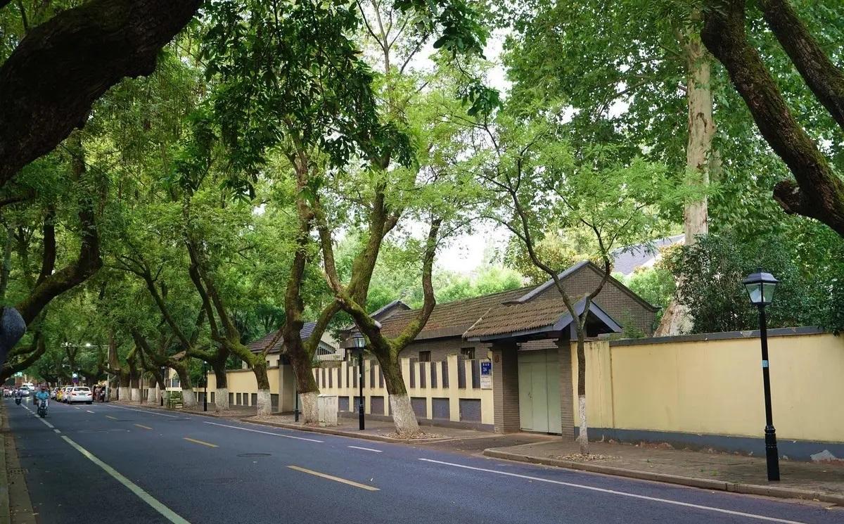 南京有哪些景点_南京十大网红景点