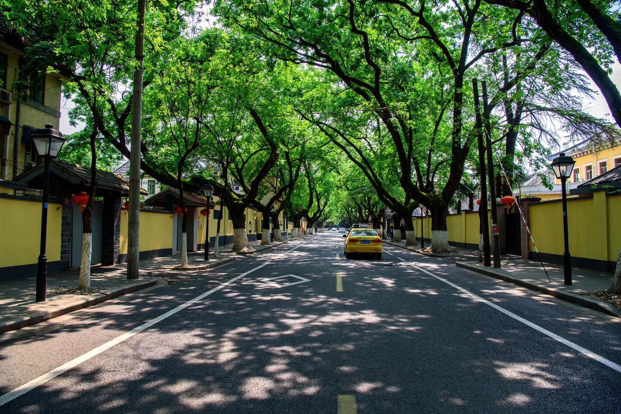 南京有哪些景点_南京十大网红景点