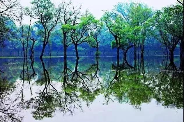 江西有哪些景点_江西十大冷门景点