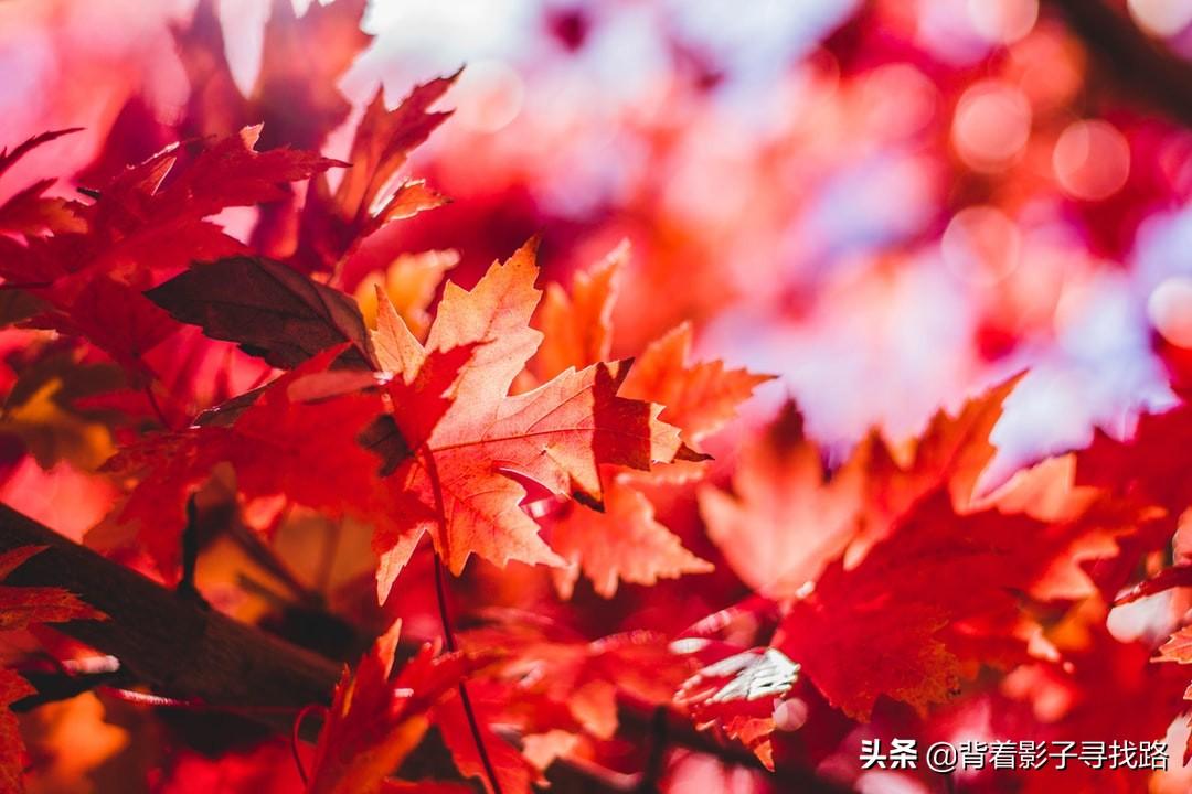 理论与方法的关系有哪些_理论和方法之间的关系