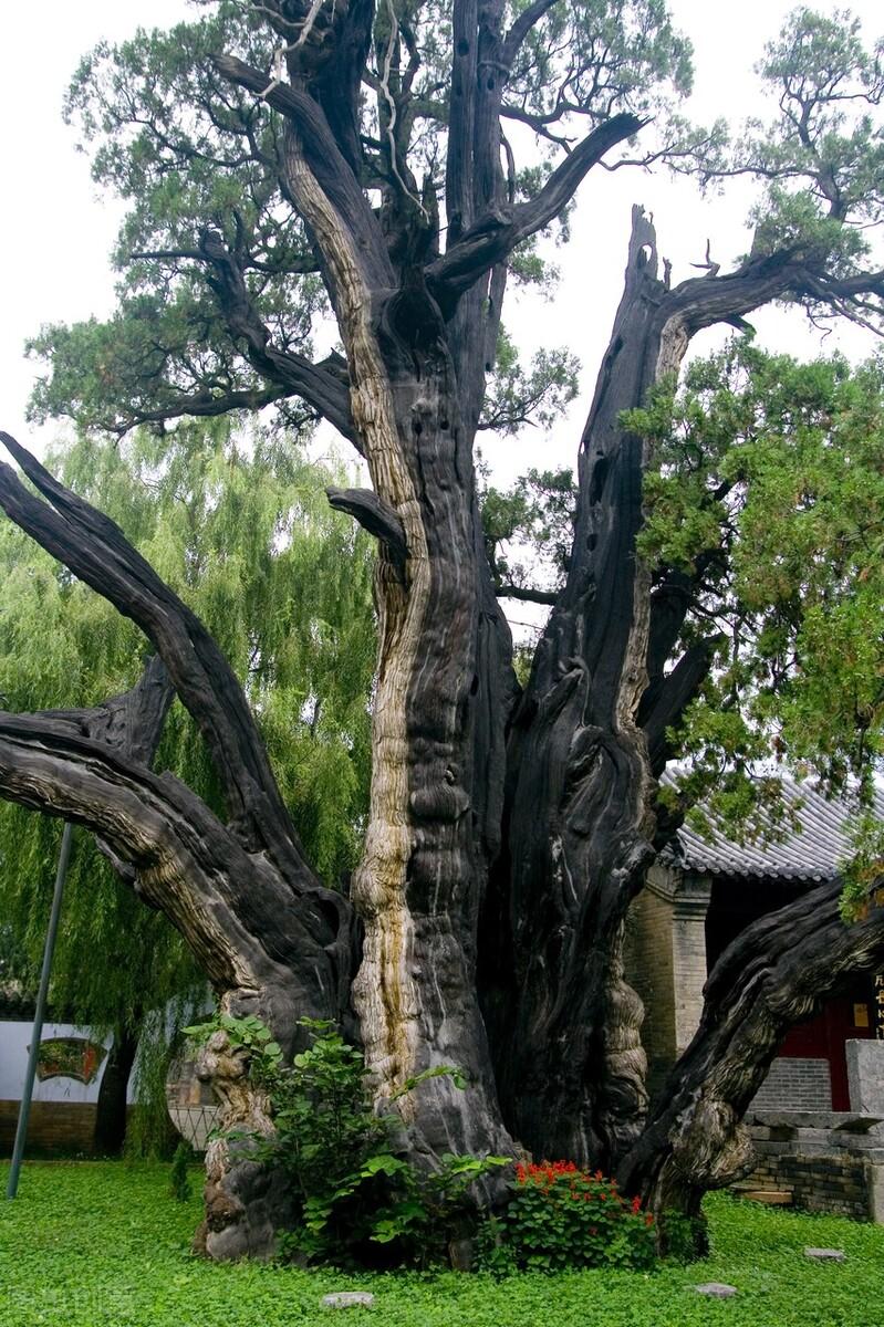 中国最旺的香火_中国香火最旺的山在哪里