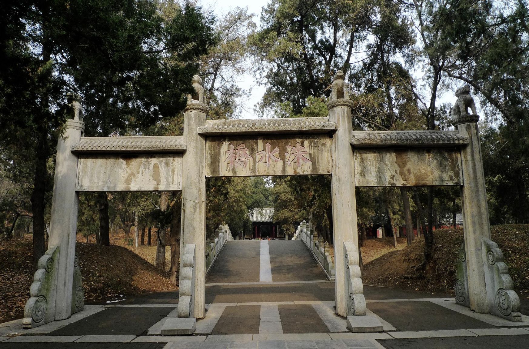 孔林为啥没有乌鸦和蛇_孔林无鸟无蛇的科学解释