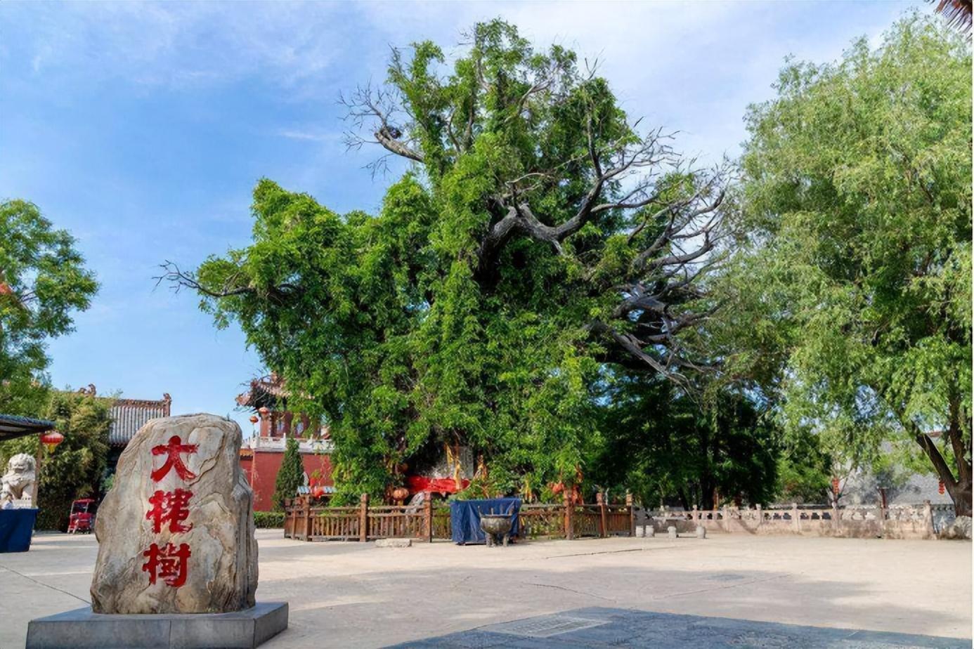 解手一词是怎么来的_解手的由来