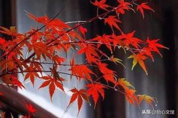 什么是小人_小人的十个特征