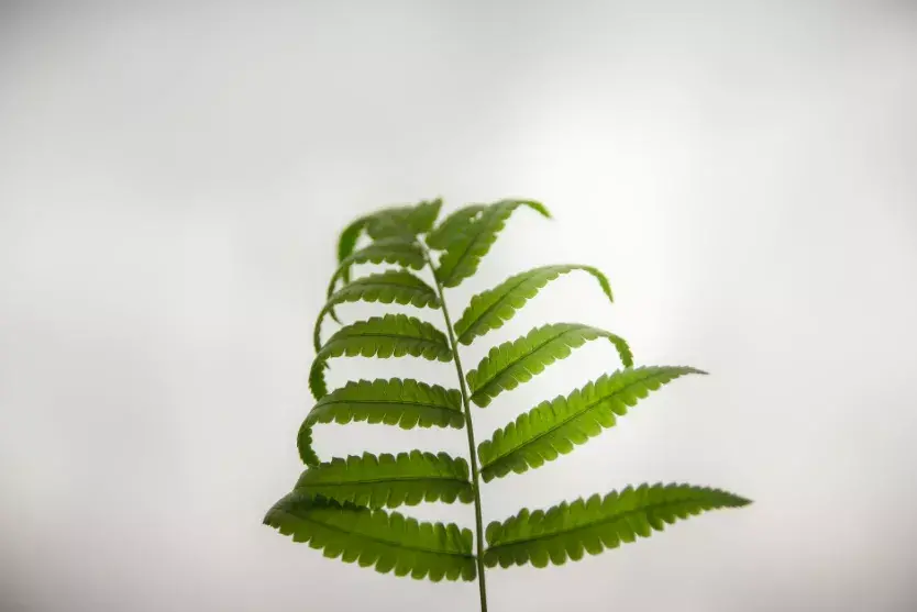 智者与愚者的名言名句_智者和愚者感悟说说