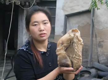 太岁究竟是什么东西_真正的太岁是什么样的