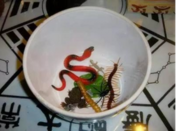 蛊究竟有什么用_到底有没有蛊这个东西