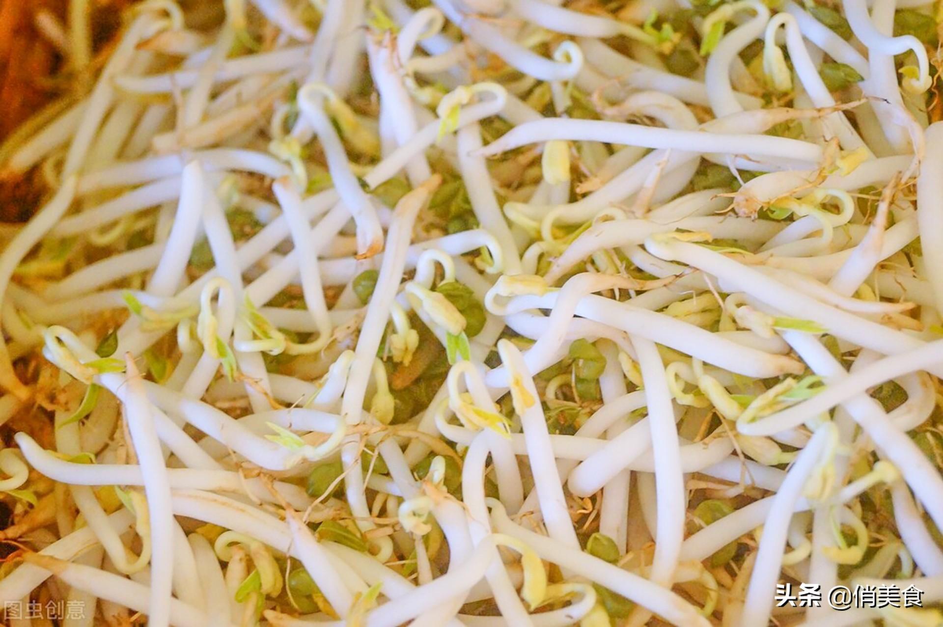自制绿豆芽怎么做,自制绿豆芽最简单的方法