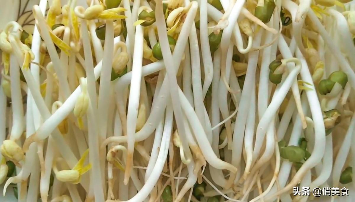 自制绿豆芽怎么做,自制绿豆芽最简单的方法