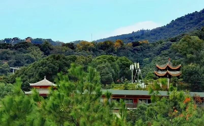 福州景点有哪些，福州十大必玩景点推荐