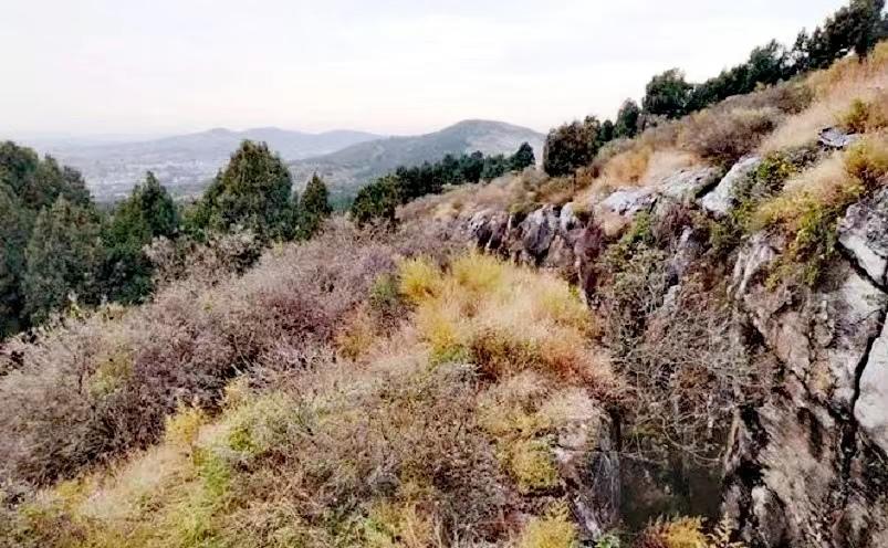 徐州哪些景点必去，徐州十大冷门景点