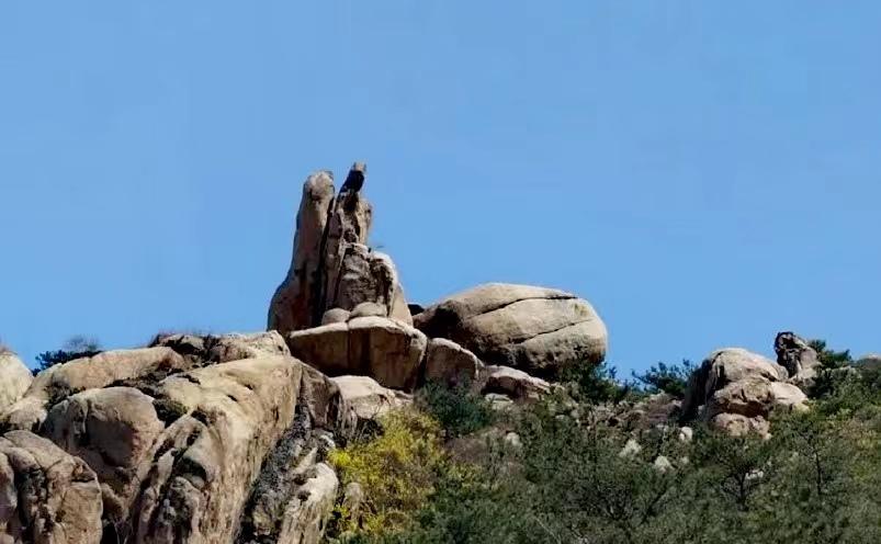 青岛景点有哪些，青岛必玩景点推荐